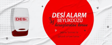 desiii